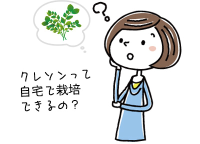 クレソンの栽培方法と育て方をご紹介 家庭菜園初心者でも簡単な方法は 水耕栽培ナビ