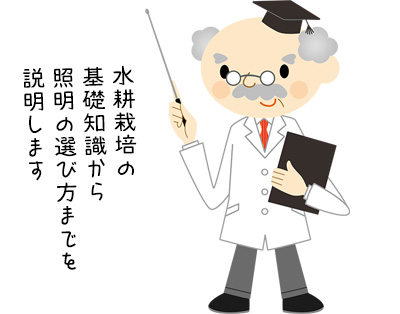 水耕栽培の基礎知識から照明の選び方まで詳しく説明します