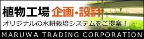 植物工場企画・設計 オリジナルの水耕栽培システムをご提案！