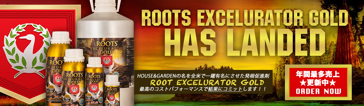HG Root