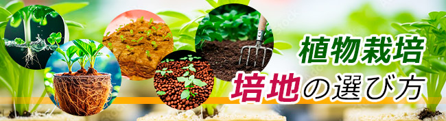 植物栽培 培地の選び方